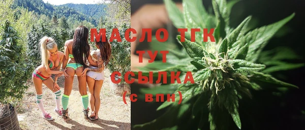 мдпв Рославль