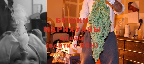 мдпв Рославль
