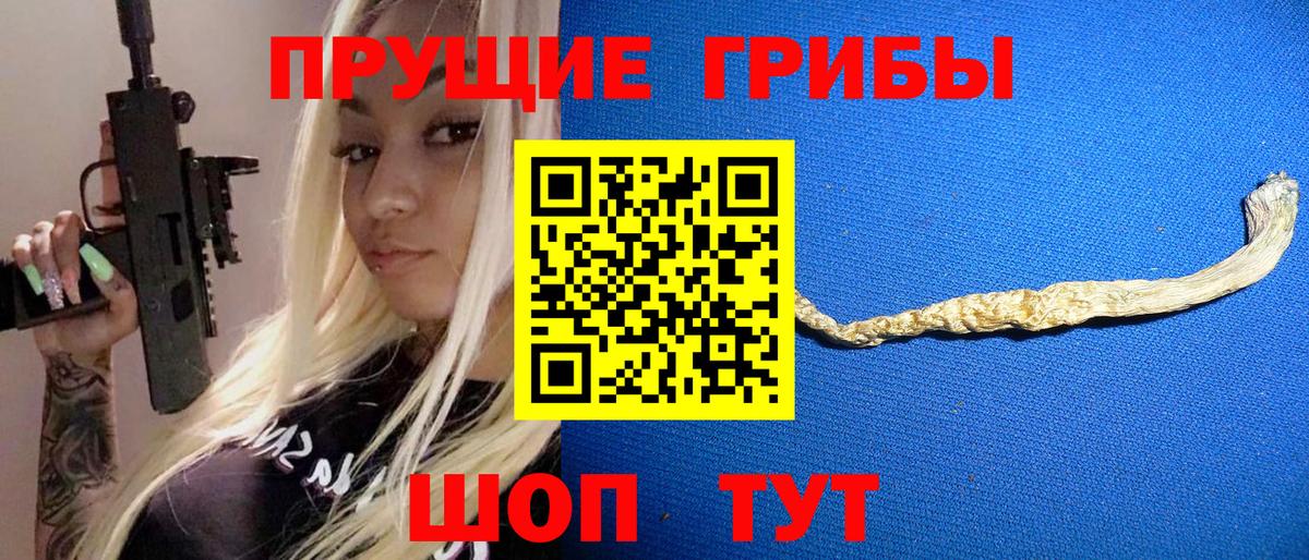 Галлюциногенные грибы GOLDEN TEACHER Моршанск
