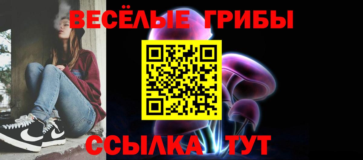 Моршанск  Псилоцибиновые грибы Cubensis  Вход с VPN  Псилоцибиновые грибы MAGIC MUSHROOMS 
