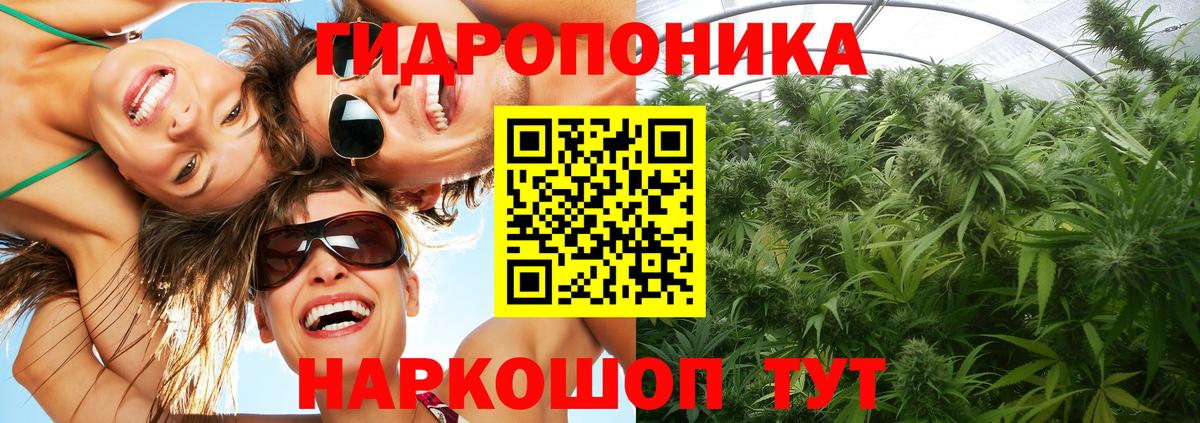 Бошки марихуана тримм Моршанск
